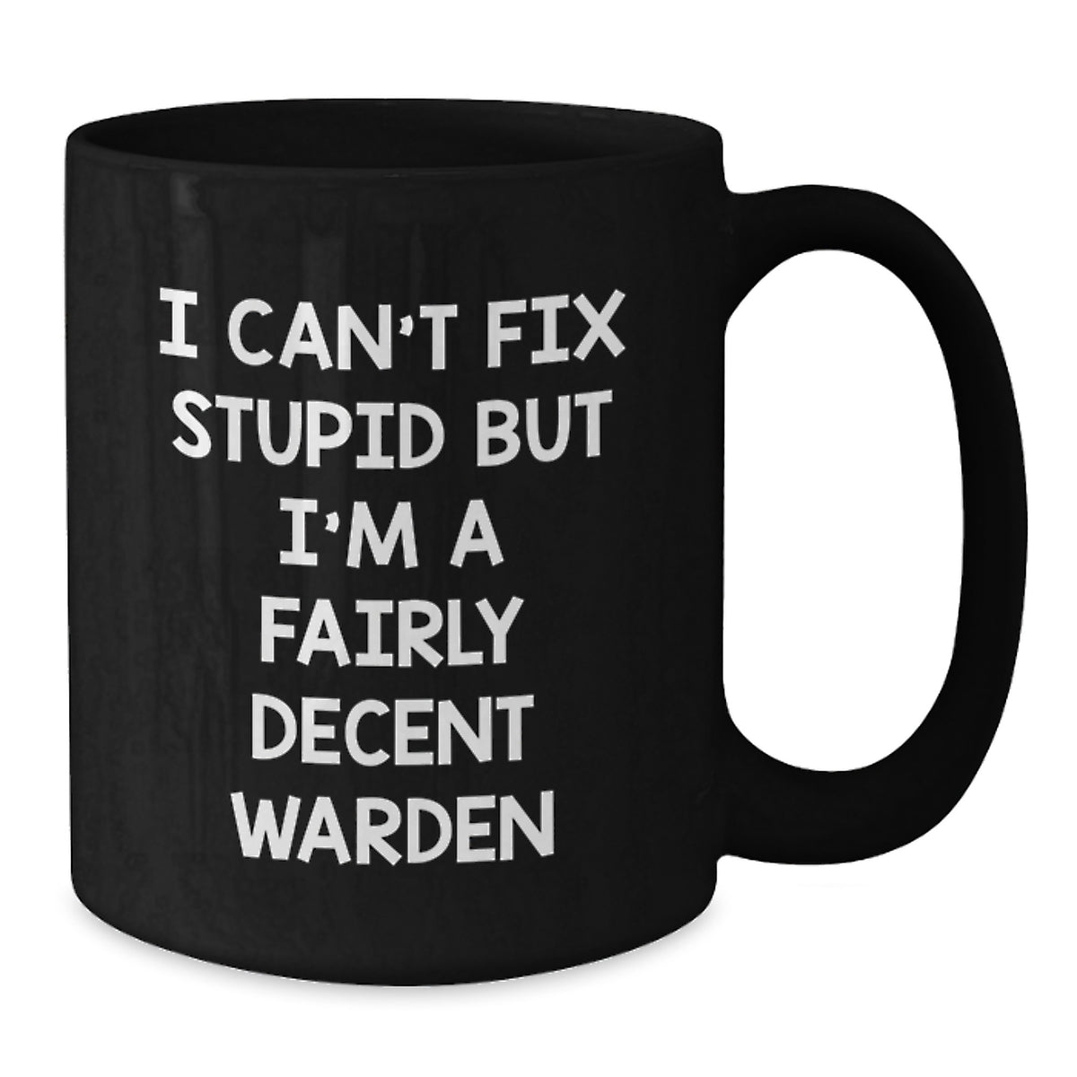 Warden Gifts, Funny Black Coffee Mug, Birthday Unique Presents from Friends, I Can't Fix Stupid But I'm A Fairly Decent Warden - Additional