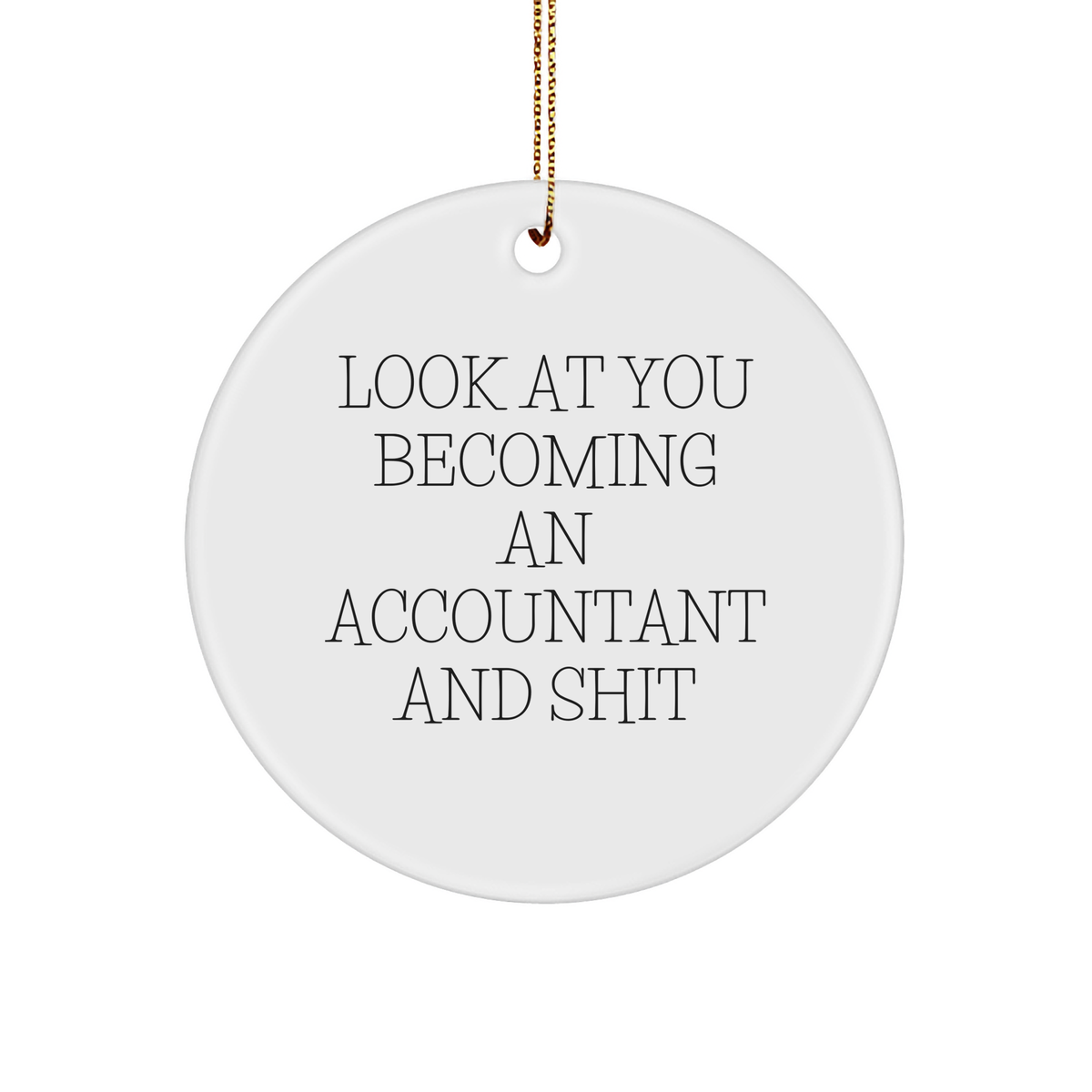 Funny Accountant Gifts from Friends, 'Look At You Becoming An Accountant And Shit', Circle Ornament for Christmas - Image 1