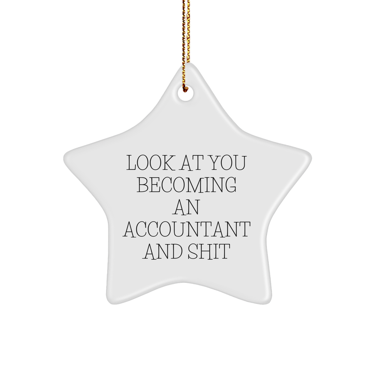 Funny Accountant Gifts, 'Look At You Becoming An Accountant And Shit' Star Ornament for Christmas, Gifts from Friends to Accountant Coworkers - Image 1