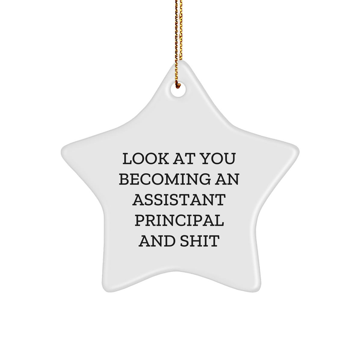 Funny Assistant Principal Gifts, 'Look At You Becoming An Assistant Principal And Shit' Star Ornament, Gifts from Men to Assistant Principal for Christmas - Image 1