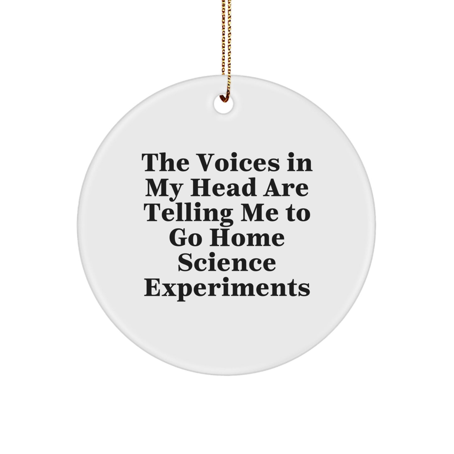 Whimsical Voices Home Science Experiments Xmas Ornament for Friends Gift - Image 1