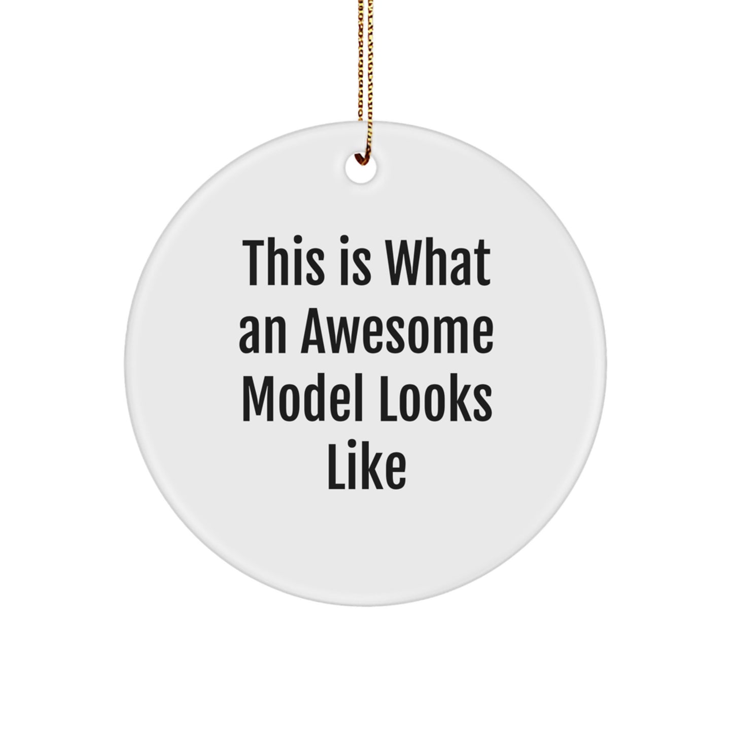 For a Colleague Model Circle Ornament Gift Awesome Model Looks Like - Image 1