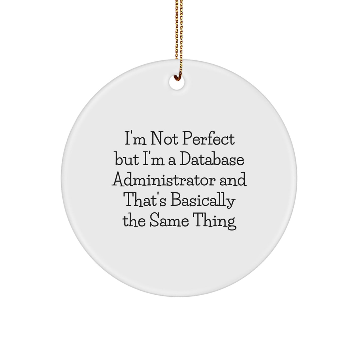 Christmas Gift for Teens Surprise Database Administrator Ornament - Image 1