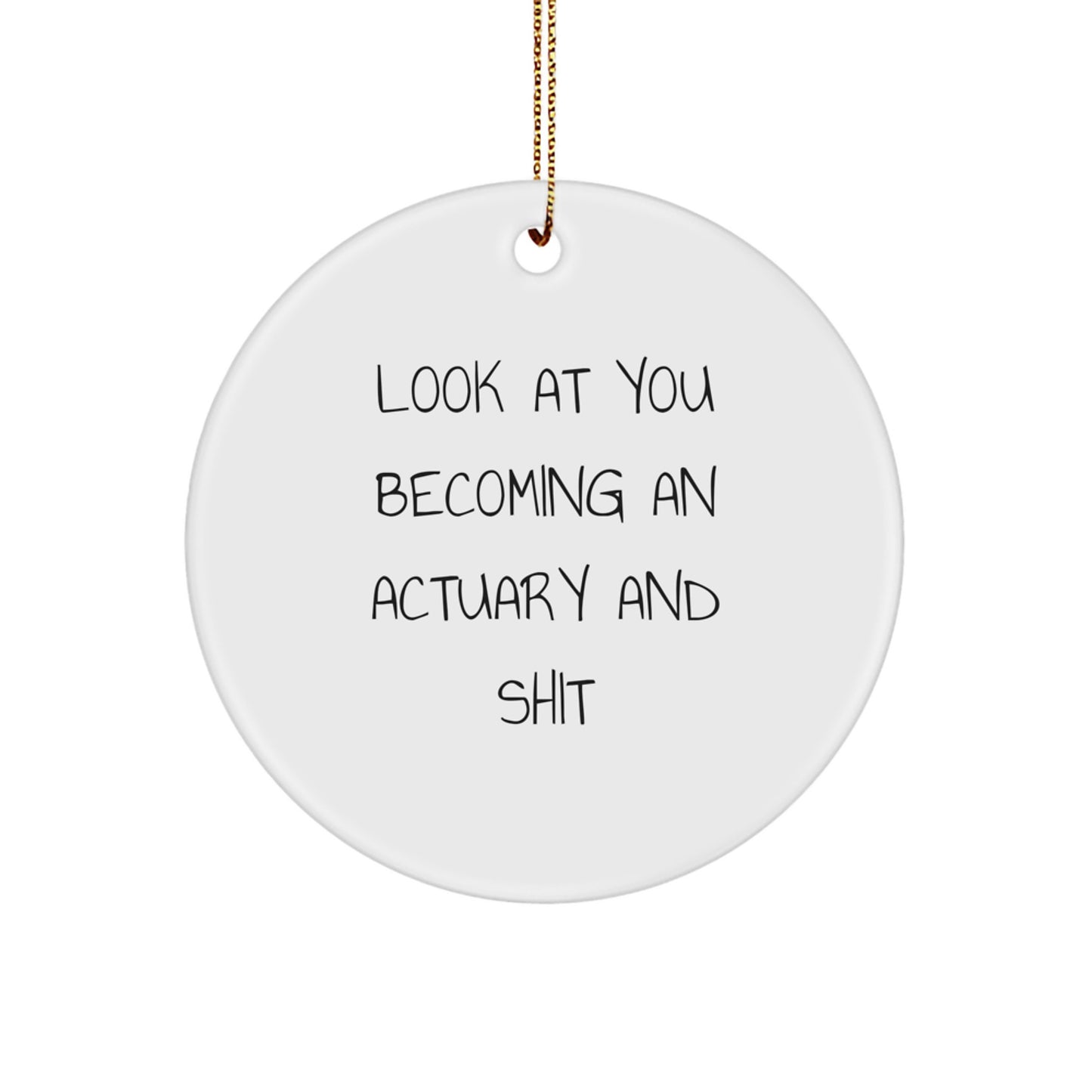 Funny Actuary Gifts from Friends for Actuary Men and Women, Christmas Unique Circle Ornament with Look At You Becoming An Actuary And Shit Humor - Image 1