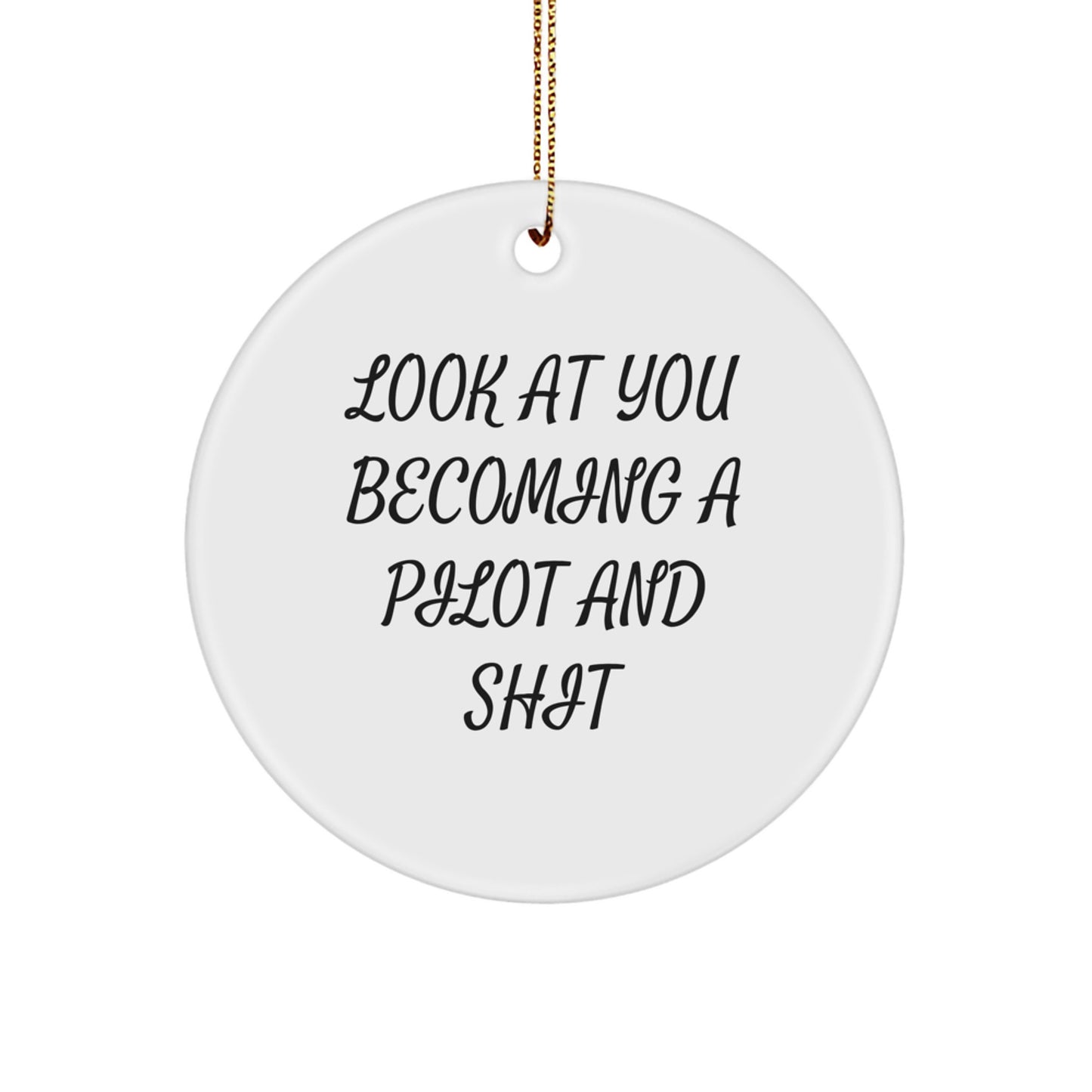 Become a Pilot Gifts for Men, Funny Circle Ornament from Friends, 'Look At You Becoming A Pilot And Shit' Quote, Christmas Unique Pilots' Gift for Coworkers - Image 1