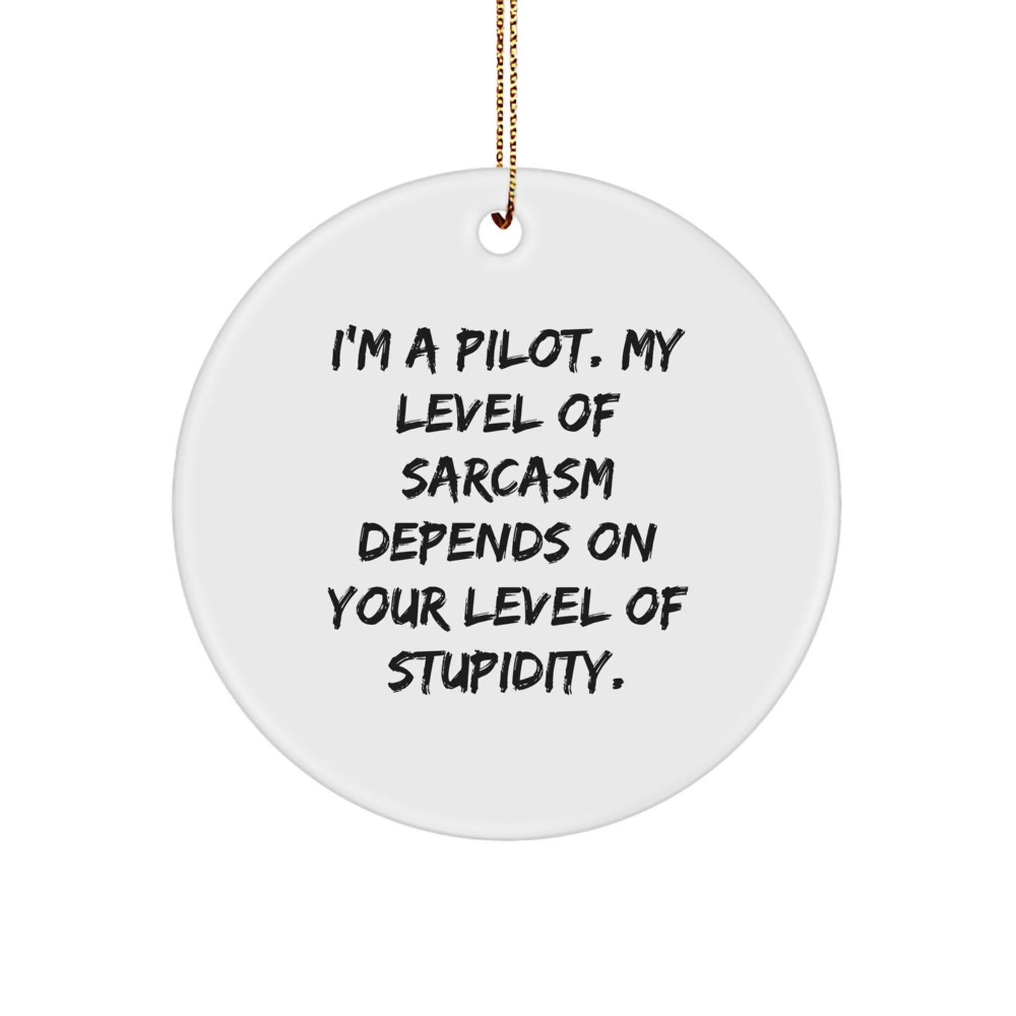 Pilot Gifts for Christmas Unique Ornaments, Funny Sarcasm Circle Ornament Gifts from Friends for Pilot Men, White Circle Shaped Pilot Decorative - Image 1