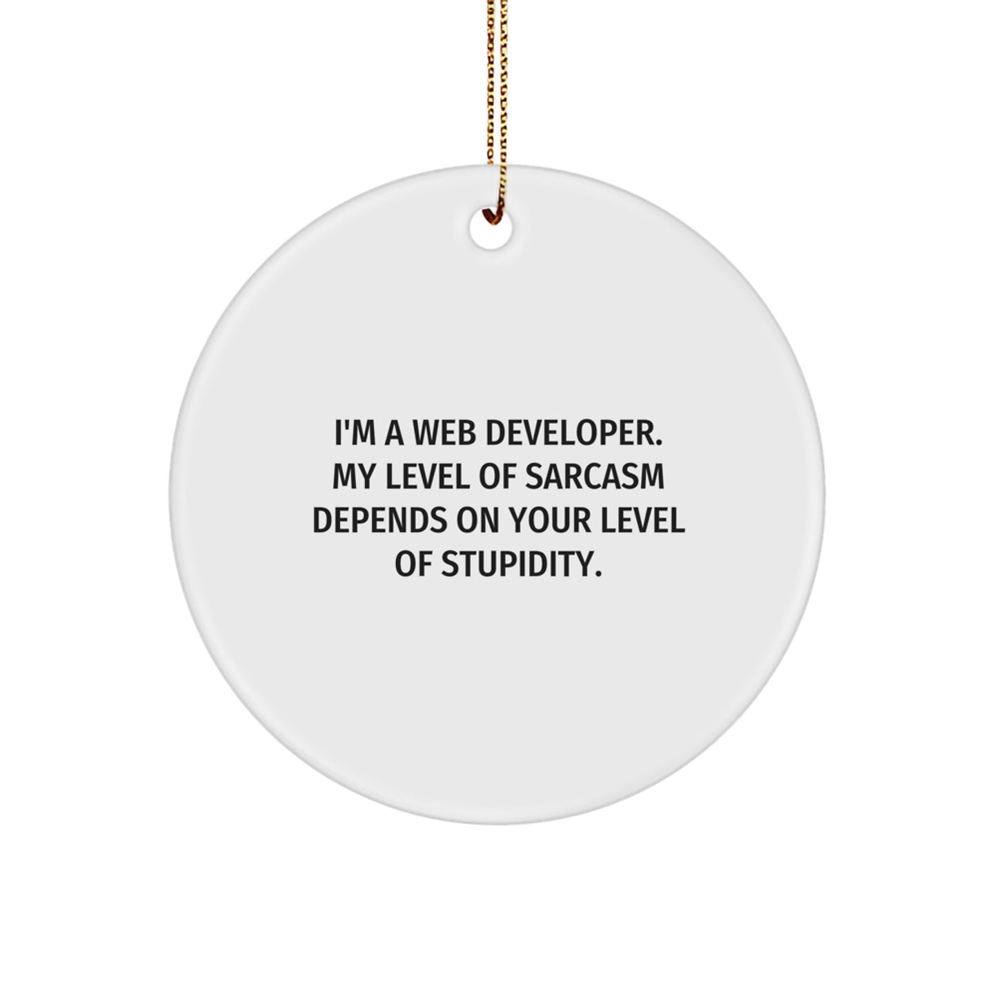 Funny Web Developer Gifts from Friends, Christmas Unique Circle Ornaments for Web Developers, I'm A Web Developer My Level Of Sarcasm Depends On Your Level Of Stupidity - Image 1