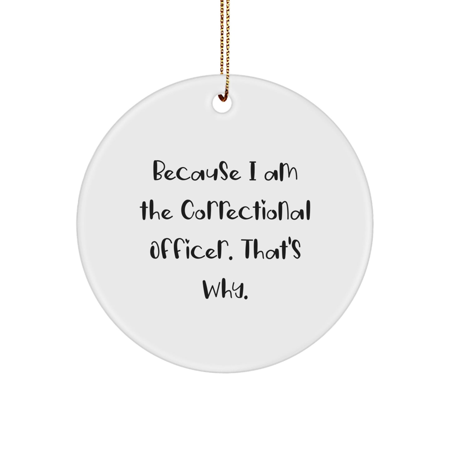 Funny Correctional Officer Gifts from Family, Correctional Officer Circle Ornament with Inspirational Quote, Unique Christmas Unique Gifts for Correctional Officer, Men, Women, Friends, Coworkers - Image 1