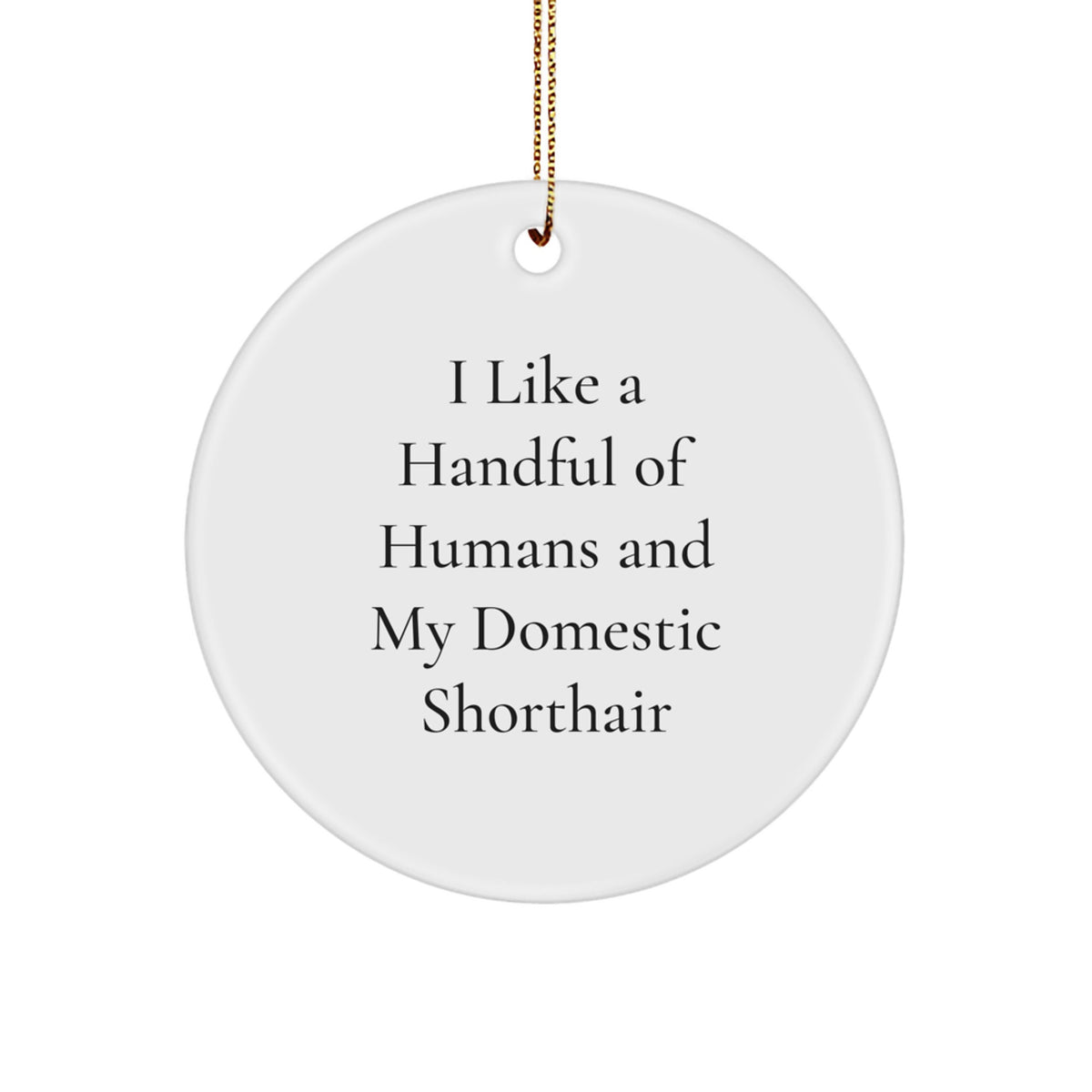 Funny Domestic Shorthair Cat Gifts from Men - Christmas Unique Ornaments for Home Decor - I Like A Handful Of Humans And My Domestic Shorthair Cat - Image 1