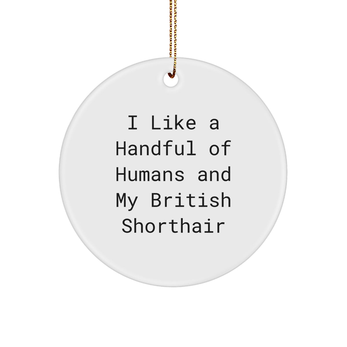 Funny British Shorthair Cat Lover Gifts from Men for British Shorthair Cat Friends, Cute Circle Ornament for British Shorthair Cat Christmas Unique Gifts - Image 1