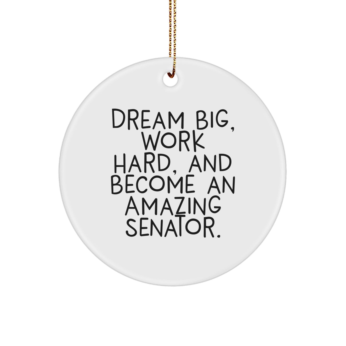 Funny Senator Christmas Unique Gifts from Family to Friends - 'Dream Big, Work Hard, And Become An Amazing Senator.' Circle Ornament for Senator - Image 1