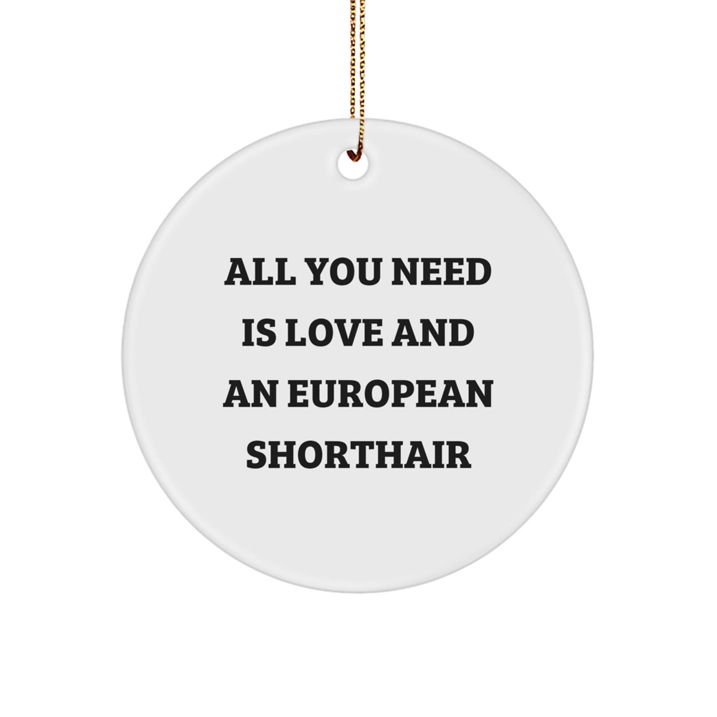 European Shorthair Cat Lover Gifts from Friends and Family - Christmas Unique Circle Ornaments, 'All You Need Is Love And An European Shorthair' Funny Quote Decor - Image 1
