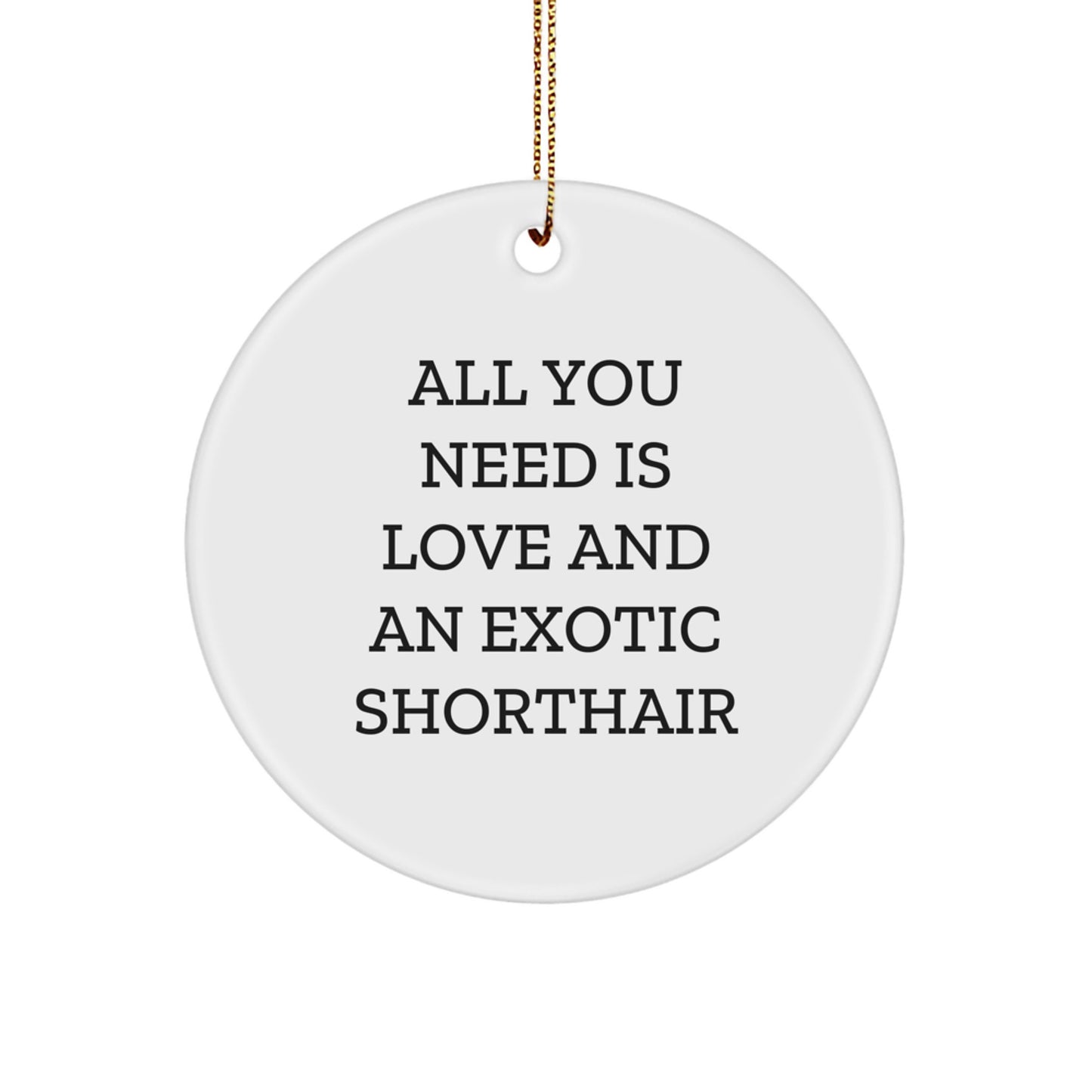 Exotic Shorthair Cat Lover Gifts from Friends 'All You Need Is Love And An Exotic Shorthair' Christmas Unique Circle Ornament - Image 1