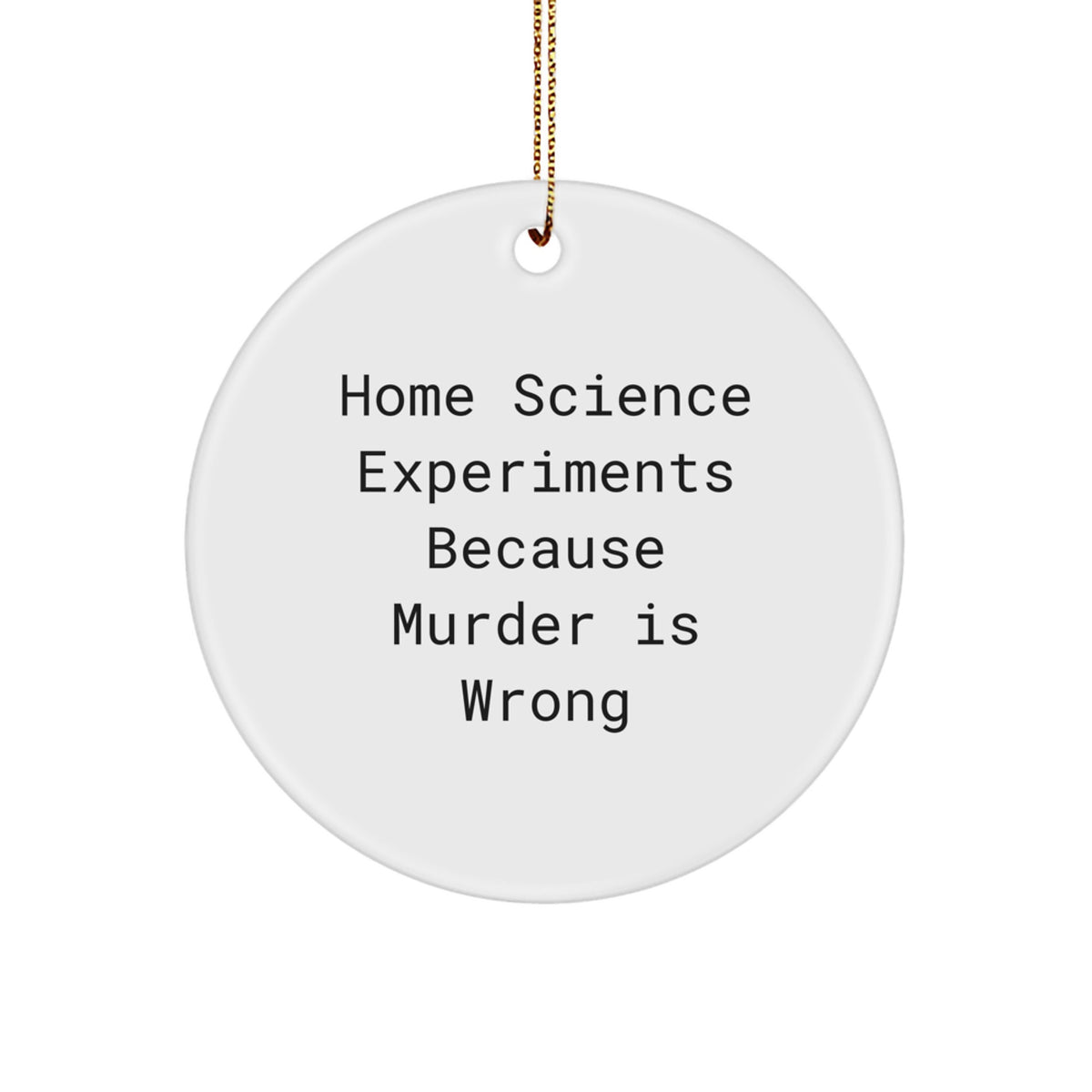For Family Home Science Experiments Christmas Ornament Treasure Gift - Image 1