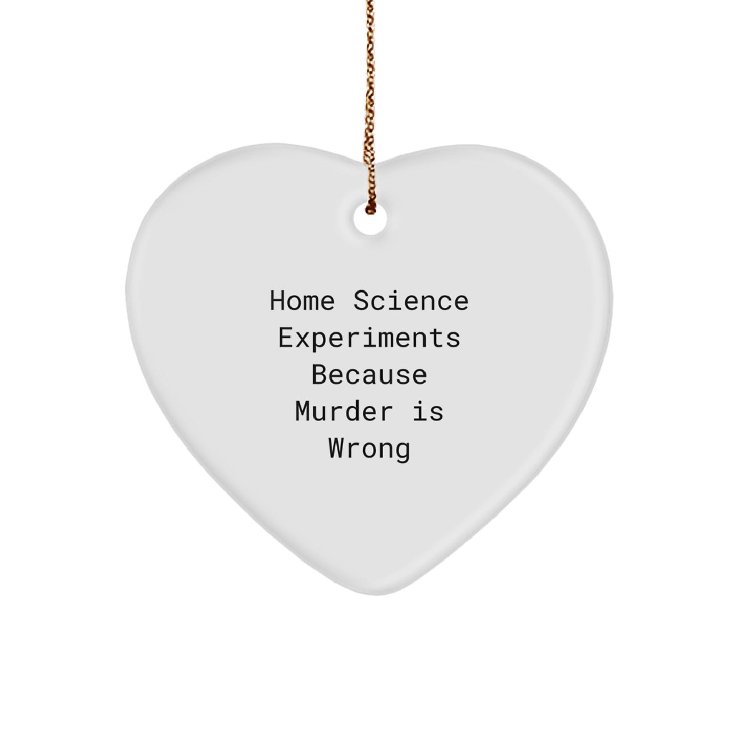 Home Science Experiments Christmas Ornament Gift for Teens Surprise - Image 1