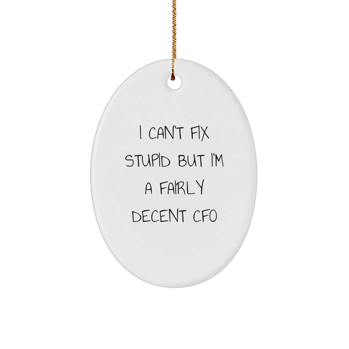 Funny CFO Gifts, Oval Ornament, I Can't Fix Stupid But I'm A Fairly Decent Cfo Gifts for Men, Women, Coworkers, Family - Christmas Unique Gifts from Friends - Image 1