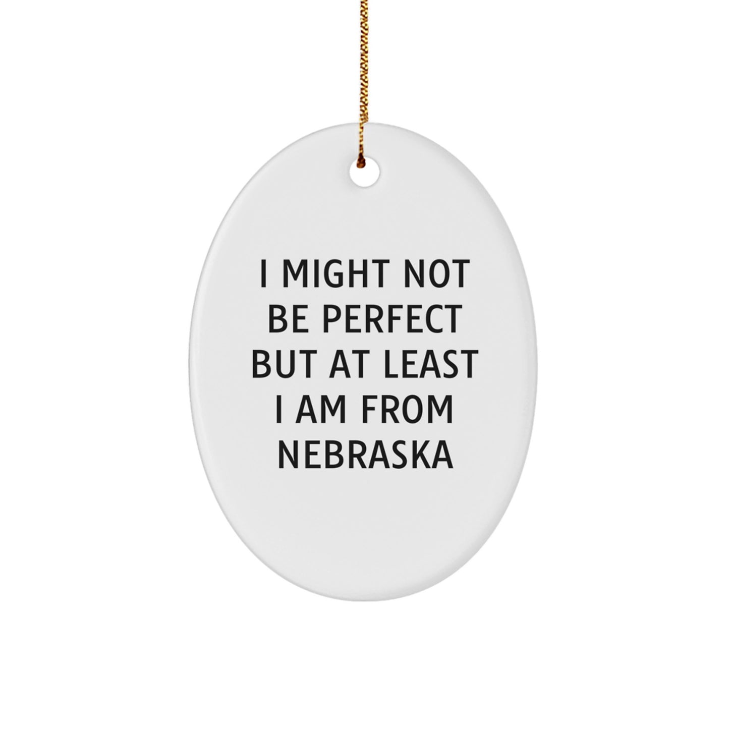 Funny Nebraska Oval Ornament Gifts from Friends and Family for Nebraska Lovers - I Might Not Be Perfect - Image 1