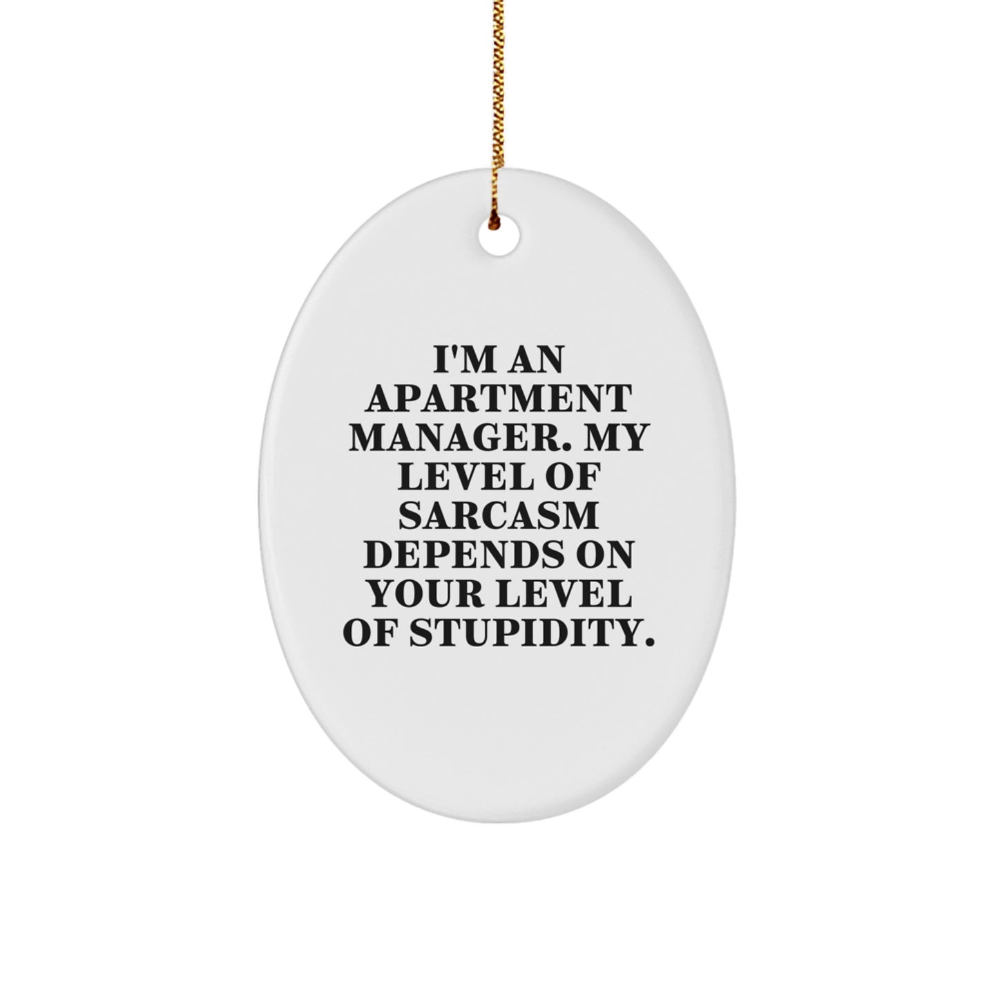 Funny Apartment Manager Gifts for Men, Oval Ornament from Friends, Apartment Manager Christmas Decorations, 'I'm An Apartment Manager. My Level Of Sarcasm Depends On Your Level Of Stupidity.' - Image 1
