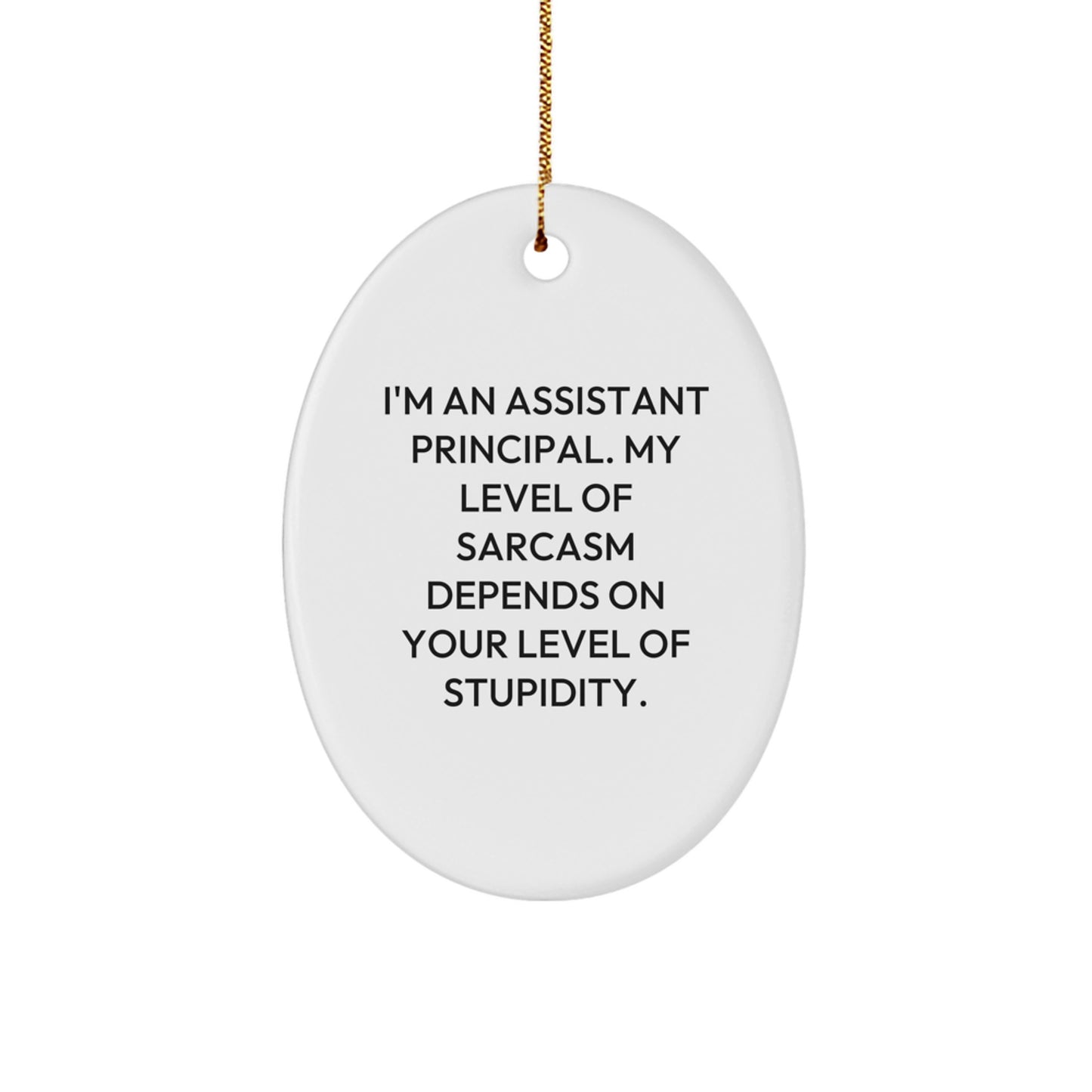 Funny Assistant Principal Gifts - Sarcastic Oval Ornament for Assistant Principals, Christmas Unique Gifts from Friends, Coworkers to Men - Image 1