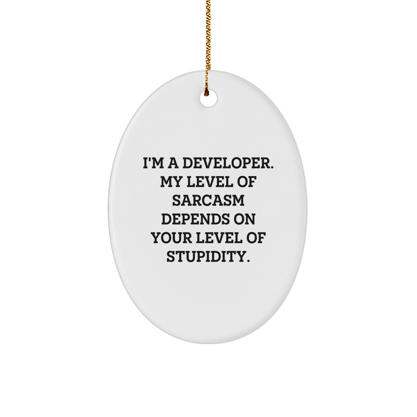 Funny Developer Gifts for Christmas - Oval Ornament with 'I'm A Developer' Quote, Gifts from Family to Coworkers - Image 1