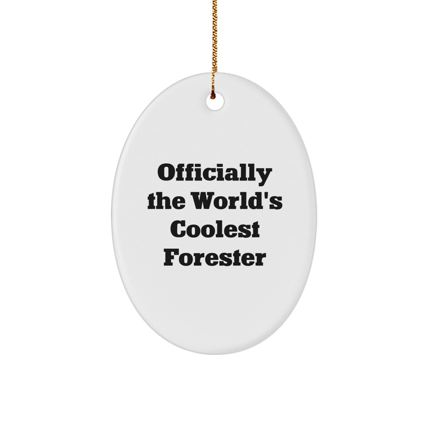 Funny Forester Oval Ornament Gifts from Friends for Men, Gifts for Forester, Oval Ornament for Christmas Unique Gifts - Image 1