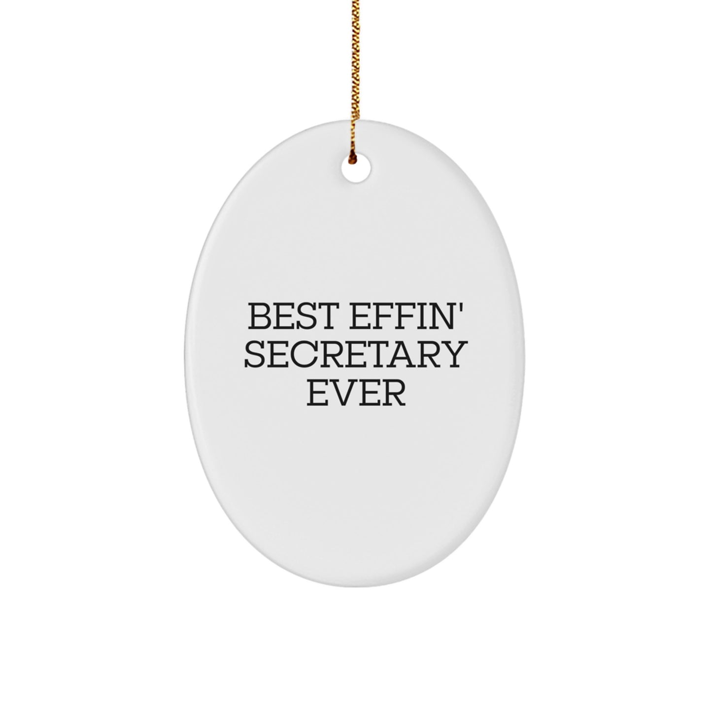 Funny Secretary Oval Ornament Gifts from Friends for Christmas Unique Gifts - Image 1