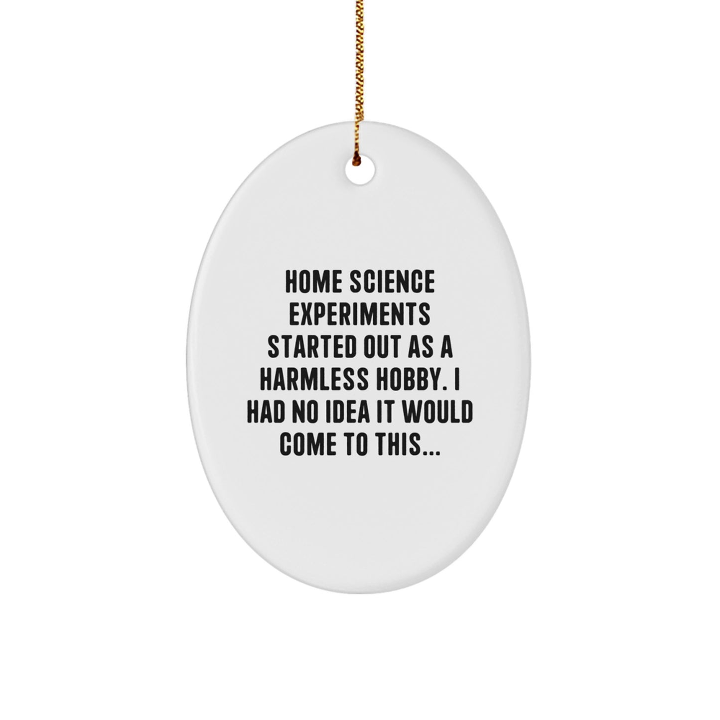 Funny Science Experiments Gifts for Home Science Enthusiasts, Oval Ornament for Christmas, 'Home Science Experiments Started Out As A Harmless Hobby' MDF Decor - Image 1