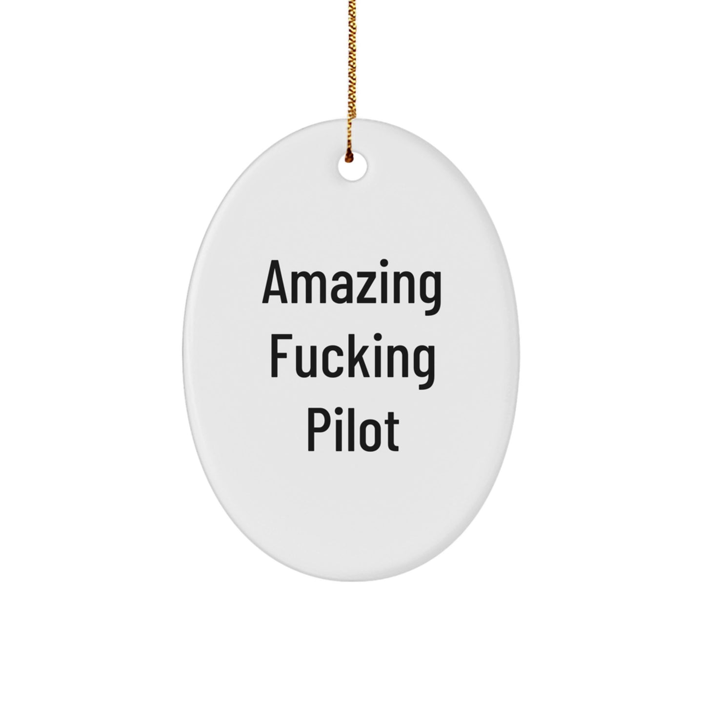 Funny Pilot Oval Ornament Gifts for Men Friends Family - Christmas Unique Presents from Men to Pilot - Image 1