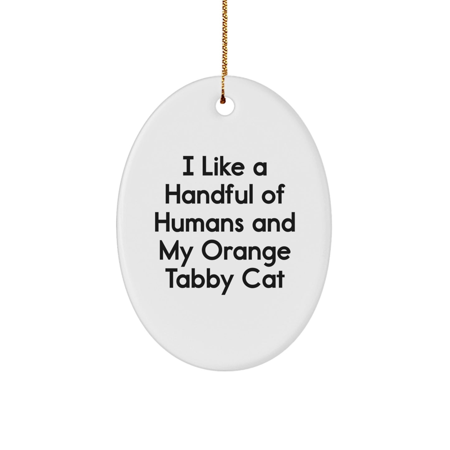 Funny Orange Tabby Cat Oval Ornament Gifts from Friends and Family for Christmas - Image 1