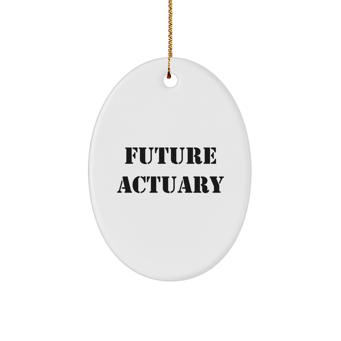 Funny Actuary Gifts from Friends to Actuary Colleagues Christmas Unique Decorations Oval Ornament - Image 1