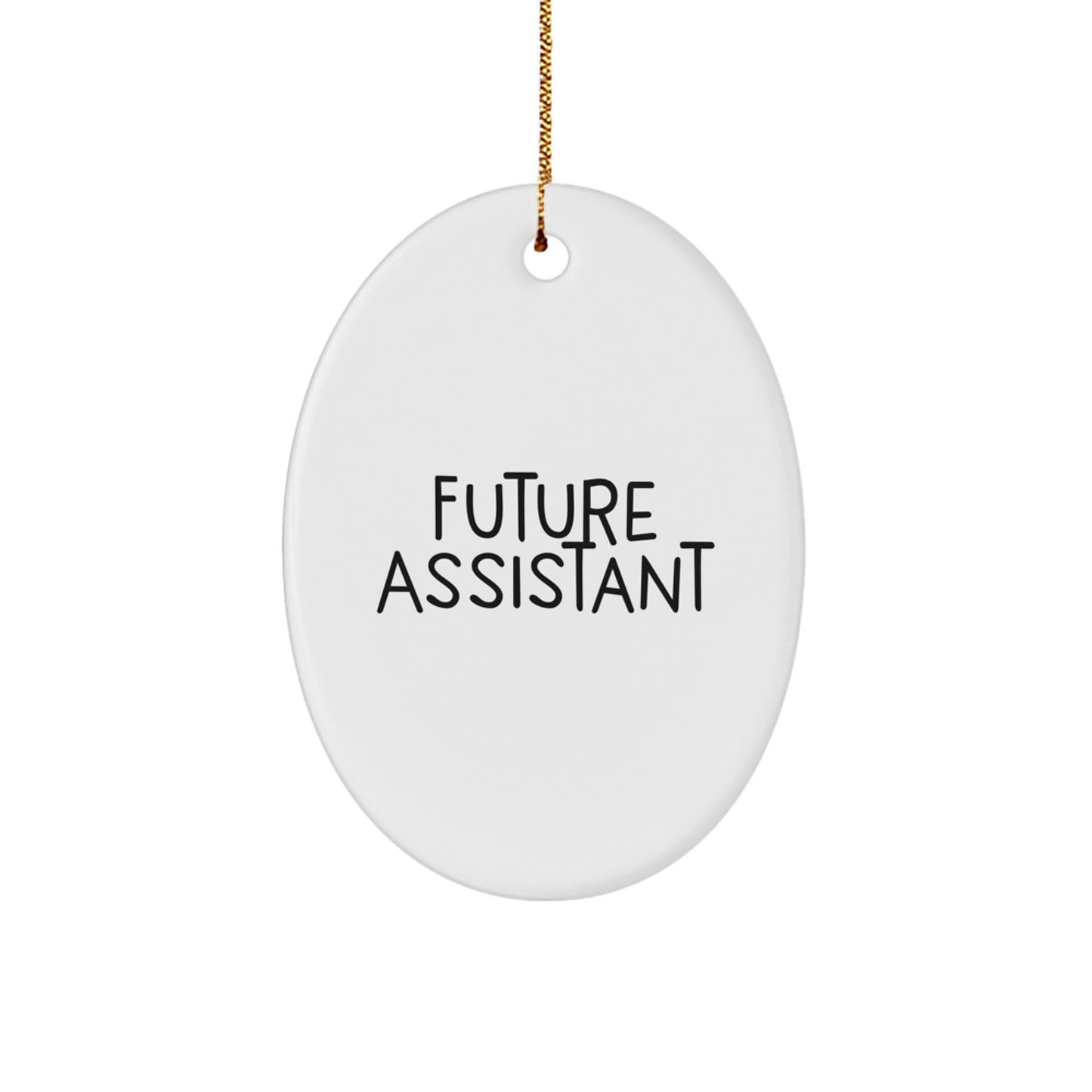 Funny Future Assistant Oval Ornament Gifts for Assistant from Friends at Christmas Time, Christmas Unique Gifts for Future Assistant, Assistant Christmas Tree Ornament - Image 1