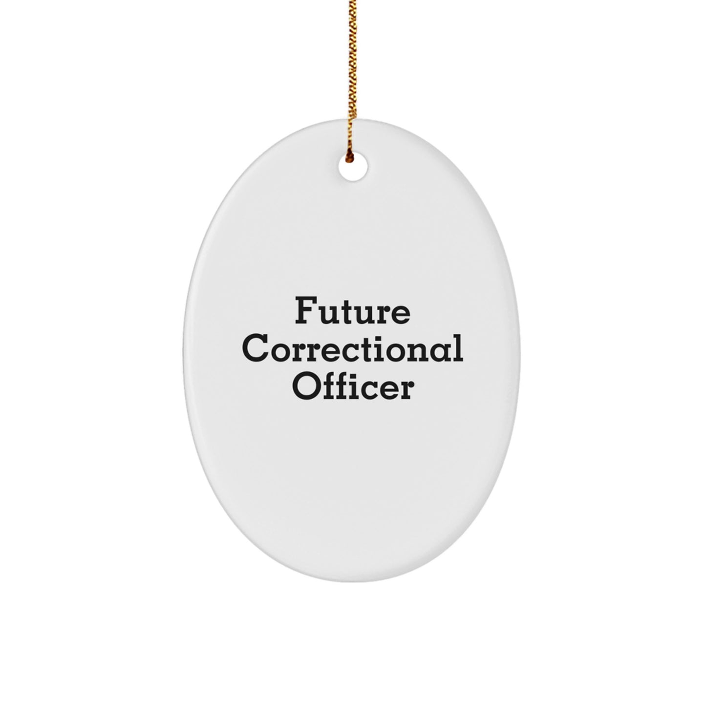 Funny Correctional Officer Gifts for Men Christmas Unique Oval Ornaments with Future Correctional Officer Quote Gifts from Men - Image 1