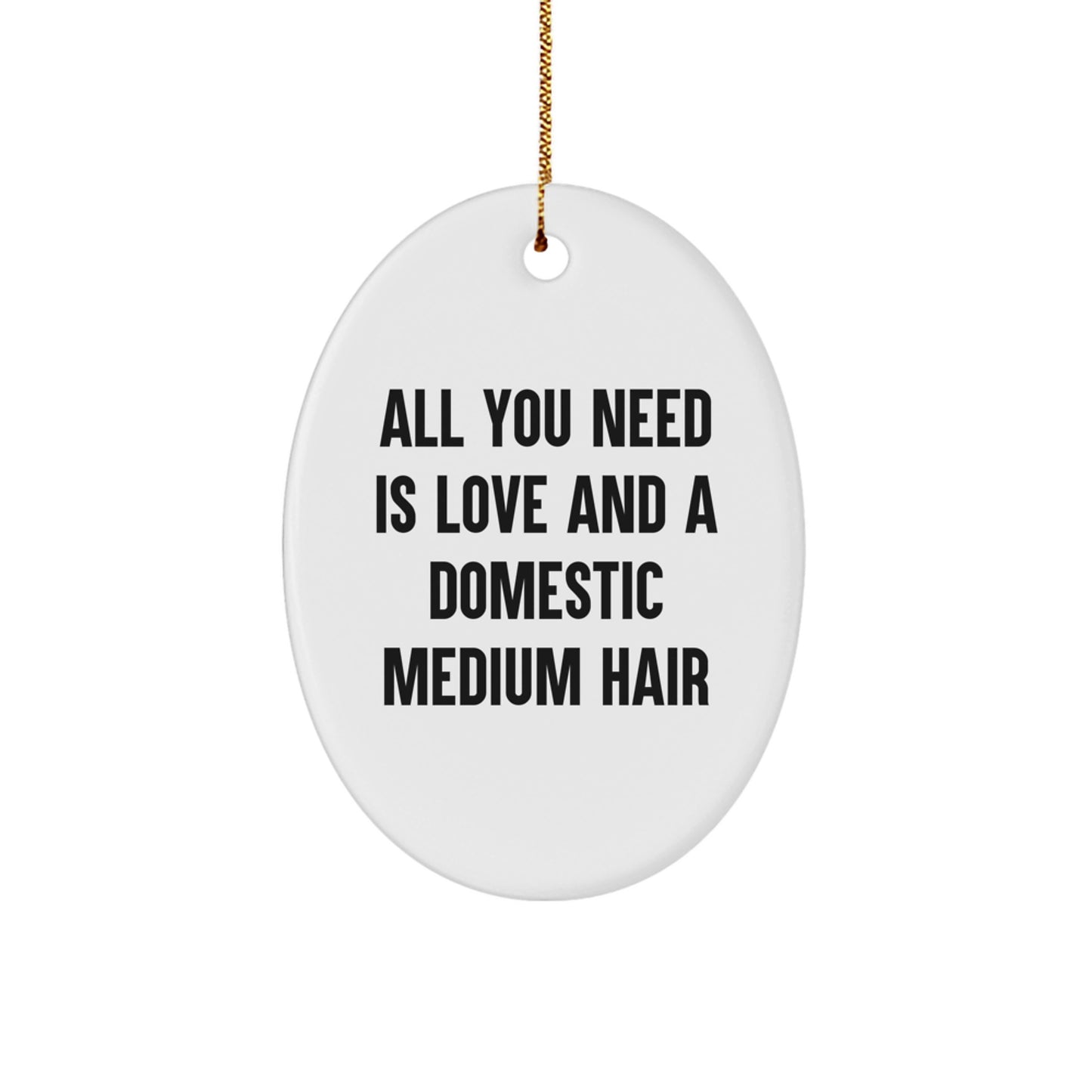 Domestic Medium Hair Cat Oval Ornament Gift for Cat Lovers Funny Quote Christmas Unique Gifts from Friends - Image 1