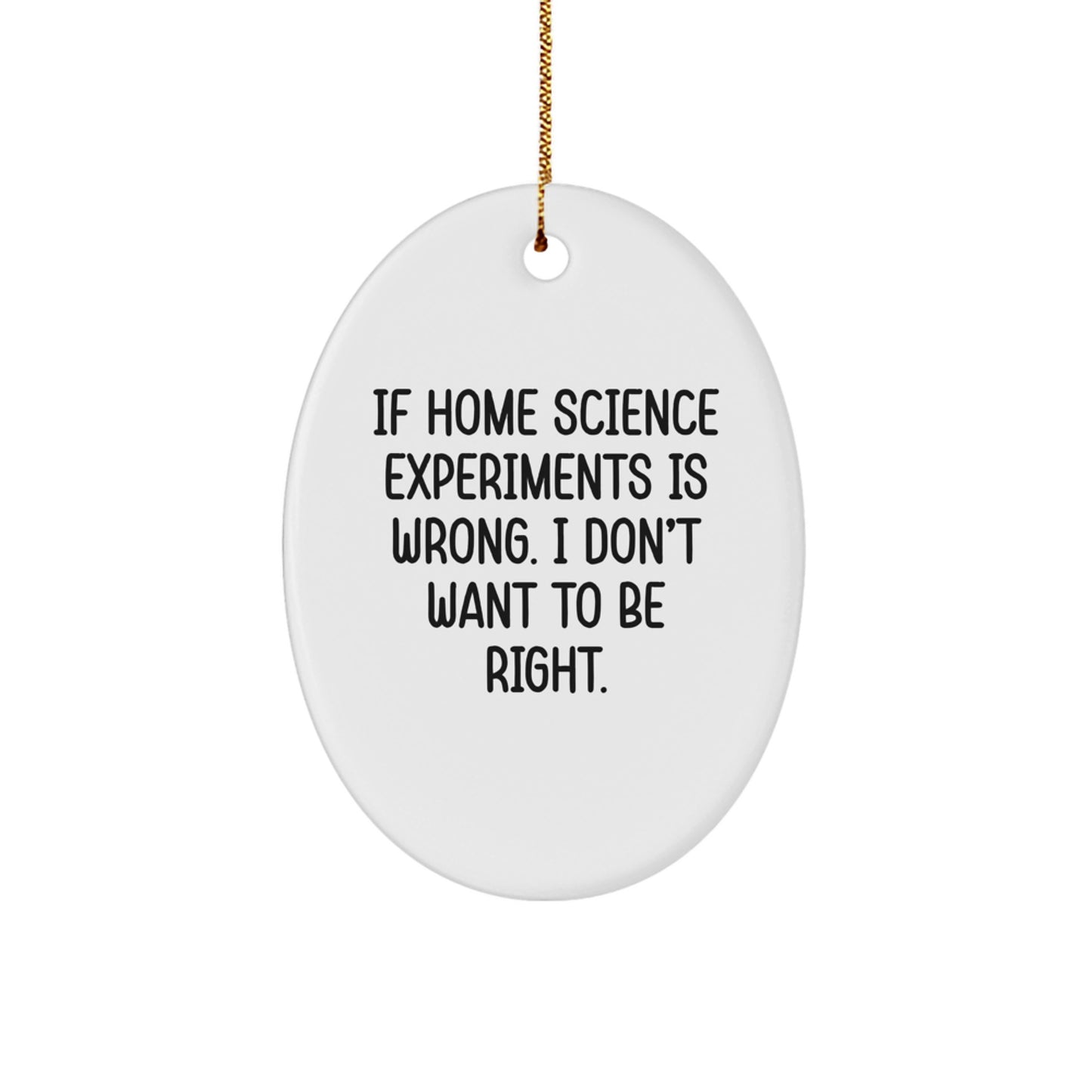 Funny Home Science Experiments Gifts for Men from Women, Oval Ornament with Inspirational Quote 'If Home Science Experiments Is Wrong. I Don't Want To Be Right.' Christmas Unique Gifts - Image 1