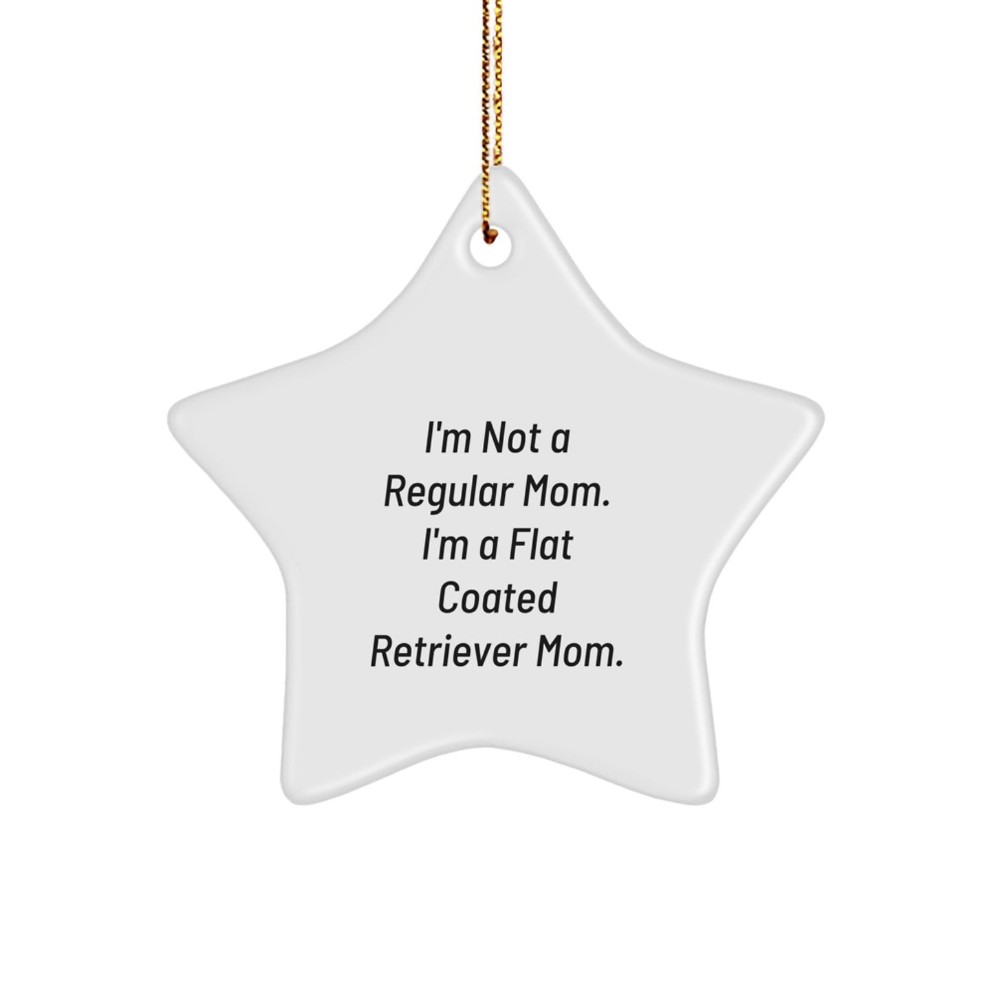 Funny Flat Coated Retriever Dog Mom Gifts for Christmas Unique Star Ornament from Friends - Image 1
