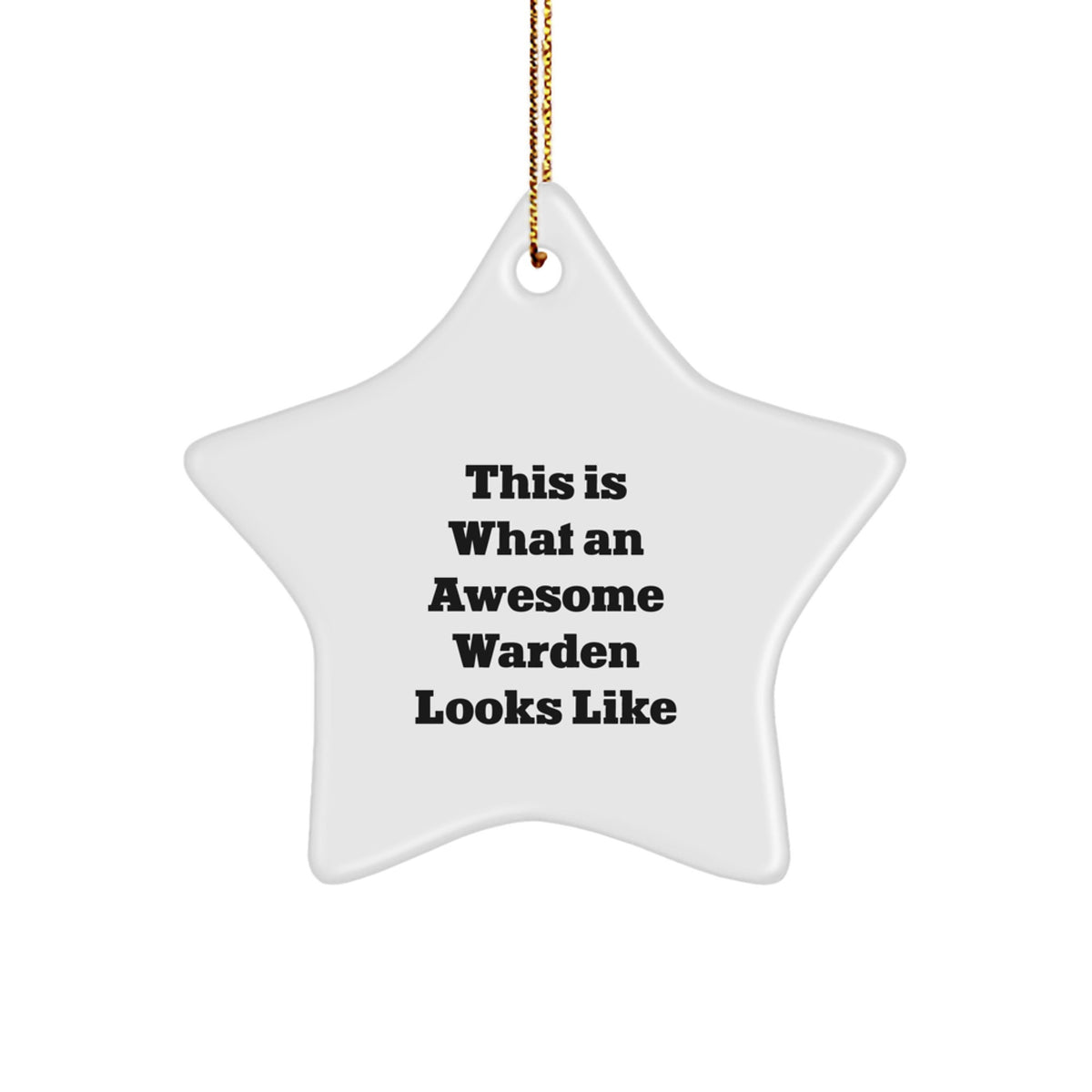 Warden Christmas Ornament Gift - 'This Is What An Awesome Warden Looks - Image 1