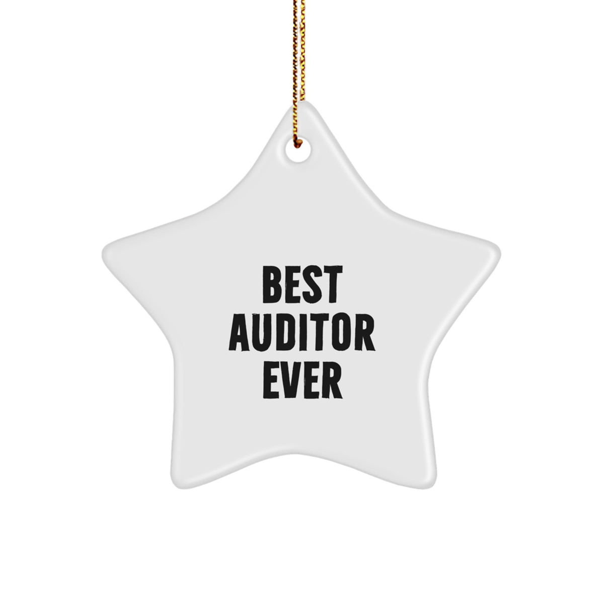 Playful Best Auditor Ever Novelty Christmas Ornament Gift for Friends - Image 1