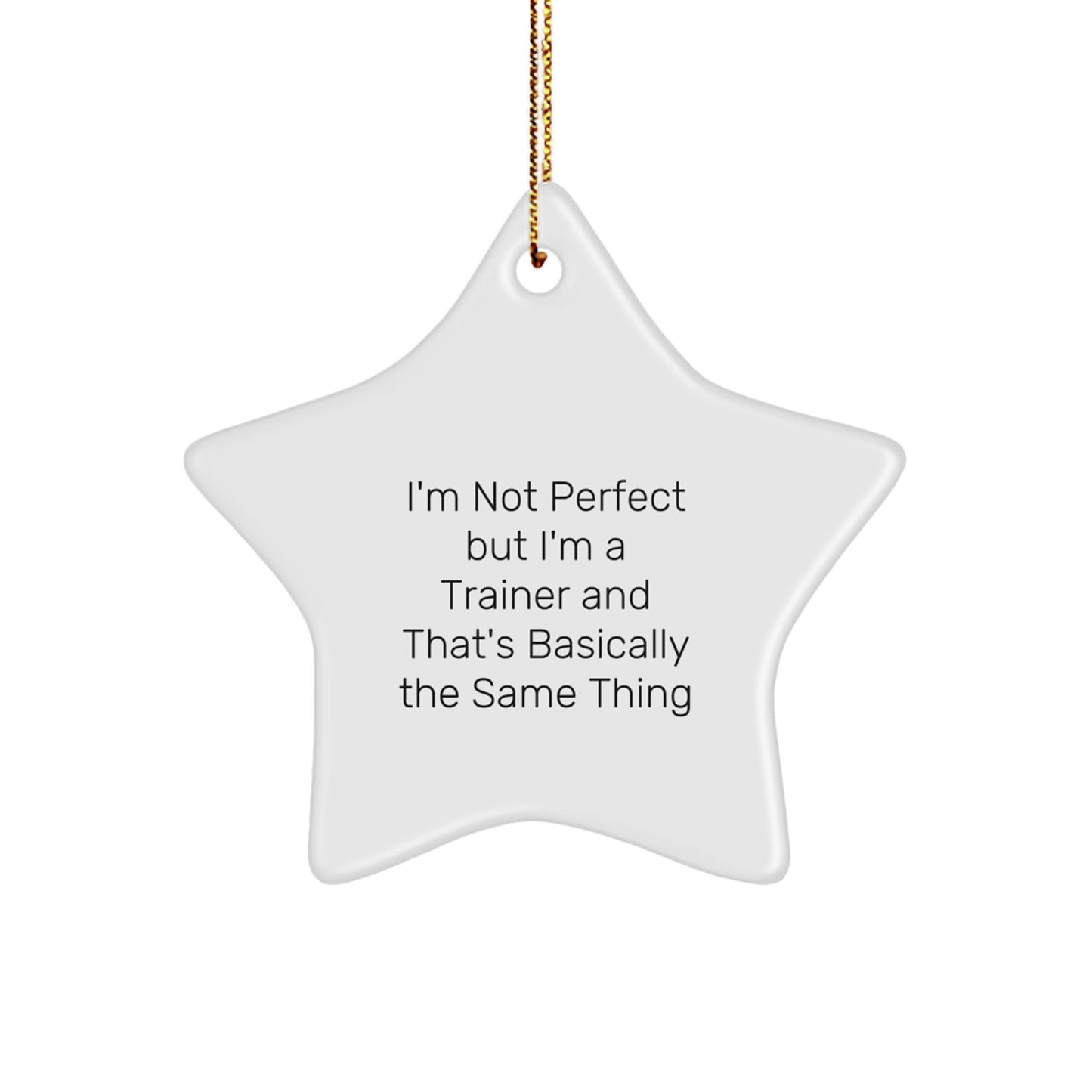 Trainer Star Ornament Idea Gift for Coworkers Christmas - Image 1