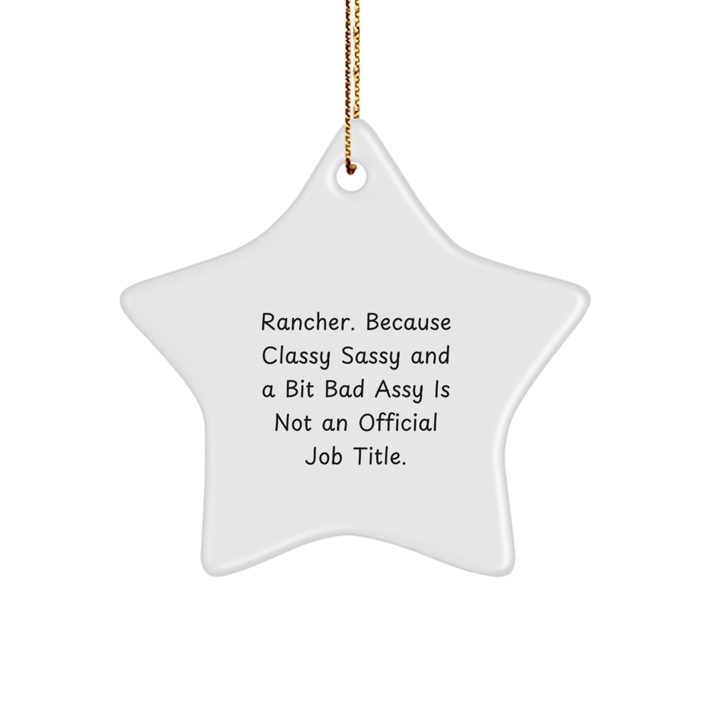 Funny Rancher Gifts from Men to Family - Star Ornament - Christmas Unique Presents for Women, Friends, and Coworkers - Image 1