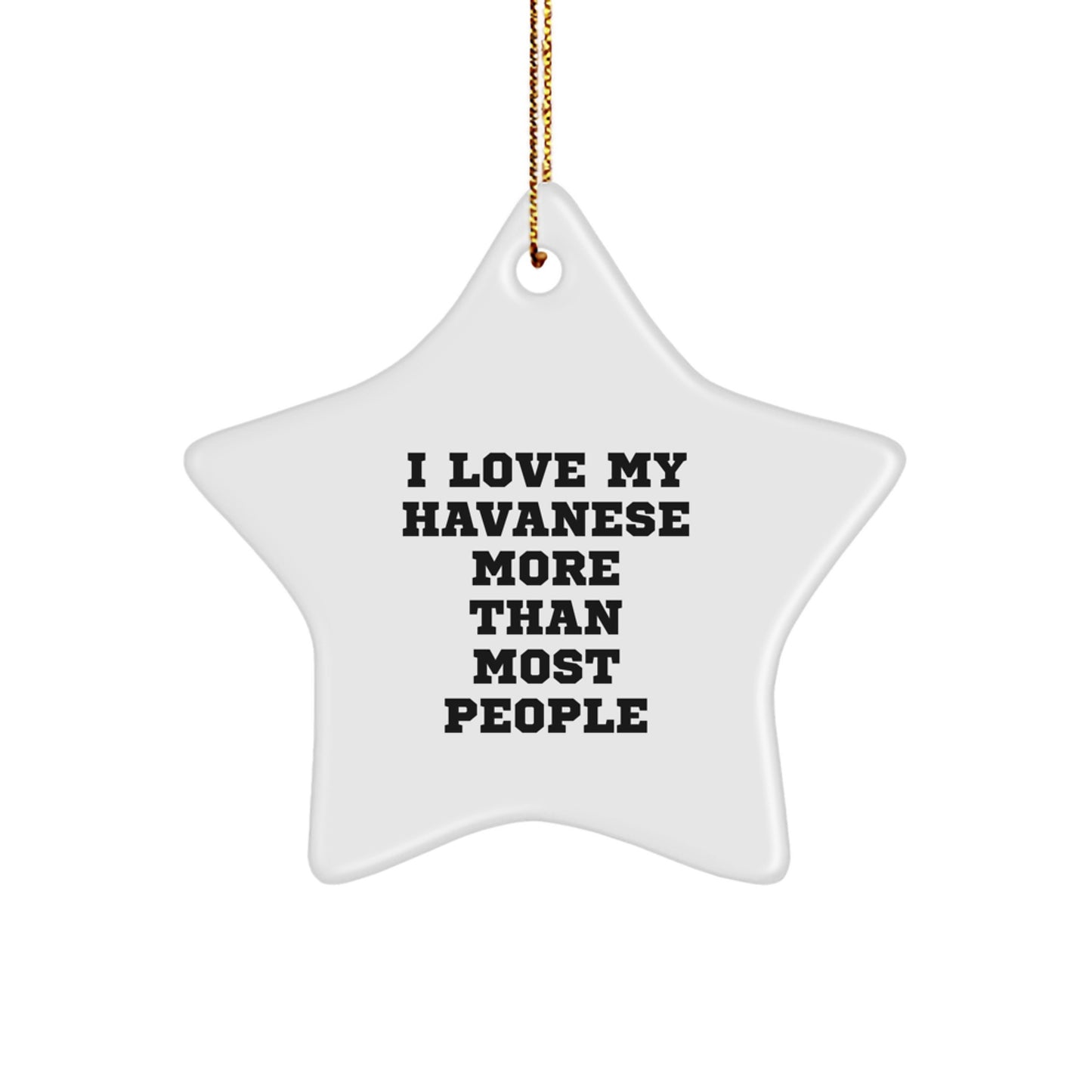 Funny Havanese Dog Christmas Unique Gifts from Family Friends Star Ornament - Image 1