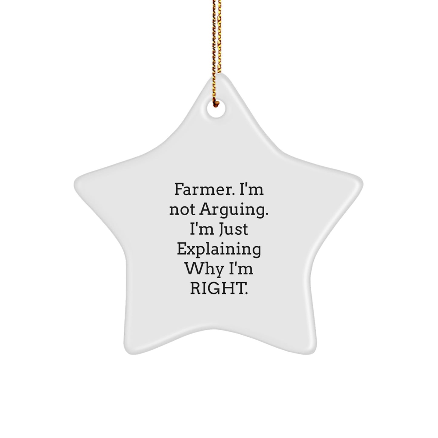 Funny Farmer Gifts from Friends for Men Star Ornament, Explaining Why I'm Right Christmas Unique Decorations - Image 1