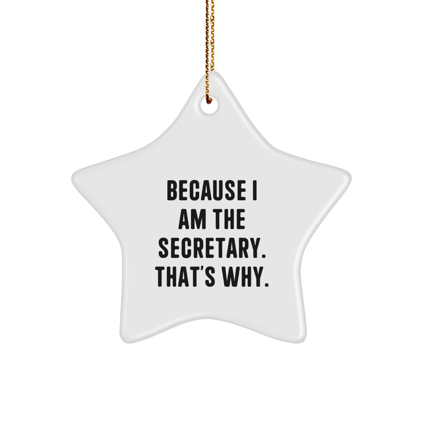 Funny Secretary Star Ornament Gifts from Friends for Secretary Coworkers - Christmas Unique Secretary Presents - Image 1