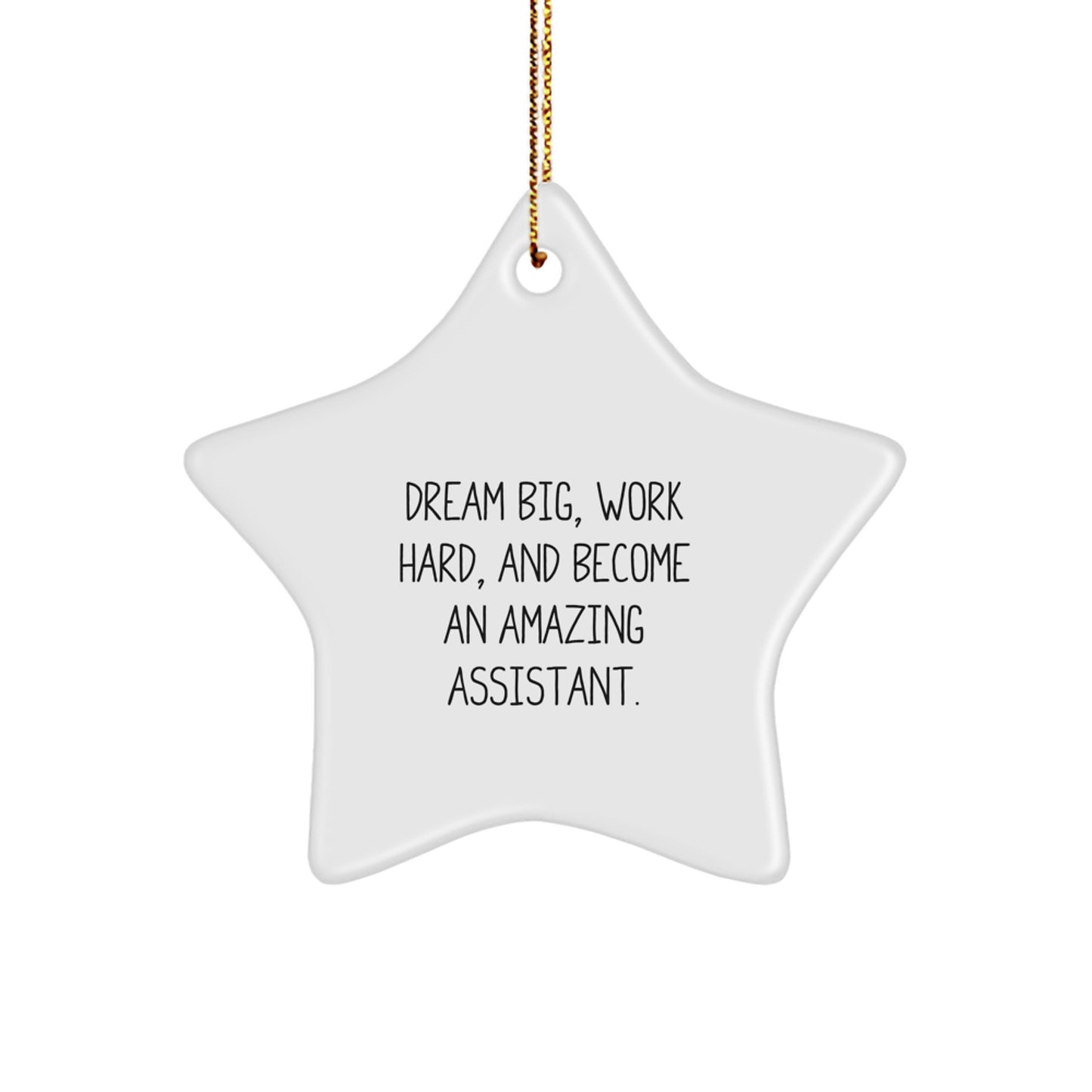 Funny Star Ornament Gifts from Family for Assistant - Dream Big, Work Hard, Become Amazing Assistant Star Decorations - Image 1