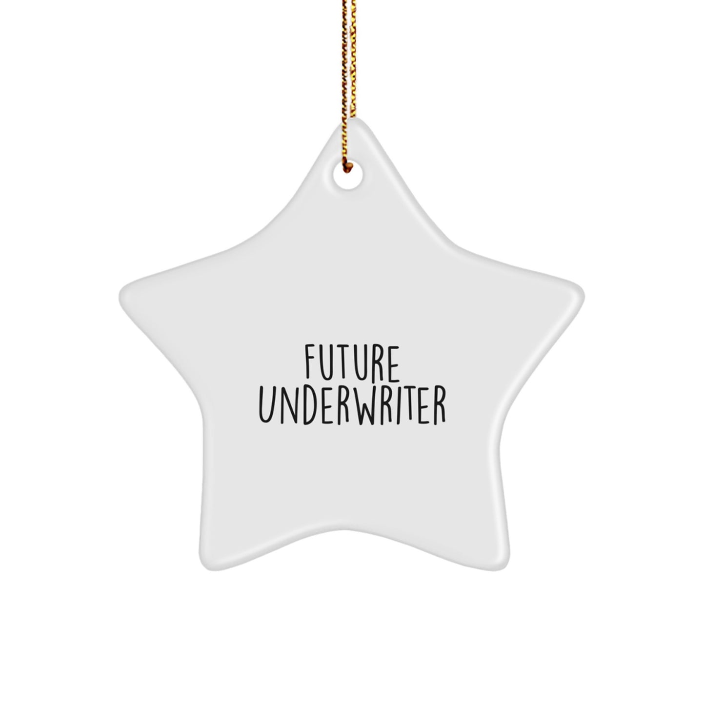 Funny Quote Star Ornament for Future Underwriter Gifts from Friends and Family - Unique Christmas Unique Gifts for Underwriter Men and Women - Underwriter Star Ornament Decorations - Image 1