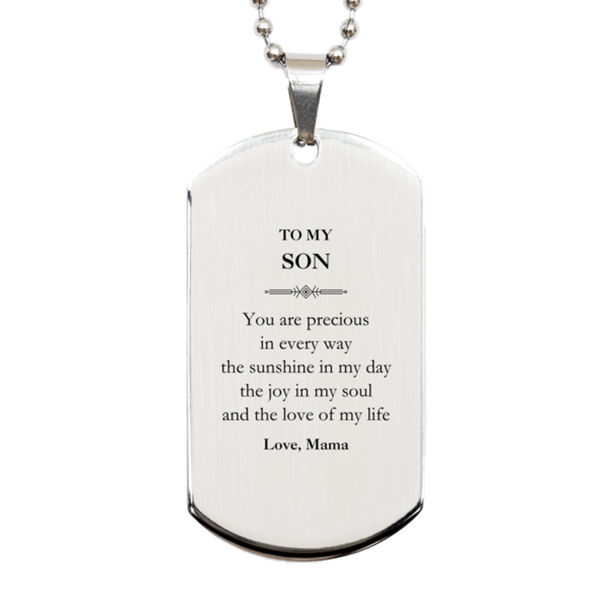 Son Silver Dog Tag Necklace - You are Precious in Every Way | Graduation Gift