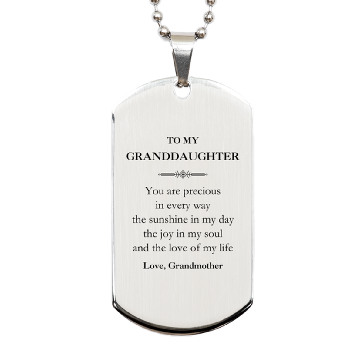 Granddaughter Silver Dog Tag Necklace - You Are Precious | Graduation Gift