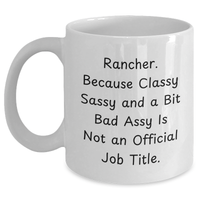 Load image into Gallery viewer, Funny Rancher Gifts: White Coffee Mug for Rancher Men, Gifts from Family, Unique Father&#39;s Day Unique Gifts for Rancher Dads, Classy Sassy and A Bit Fearlessy - Main
