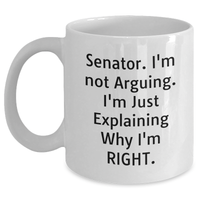 Load image into Gallery viewer, Funny Senator Gift Ideas, Senator Not Arguing Coffee Mug, Graduation Unique Gifts from Friends to Senator, 11oz or 15oz White Ceramic Mug - Main
