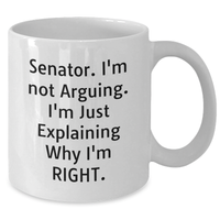 Load image into Gallery viewer, Funny Senator Gift Ideas, Senator Not Arguing Coffee Mug, Graduation Unique Gifts from Friends to Senator, 11oz or 15oz White Ceramic Mug - Additional

