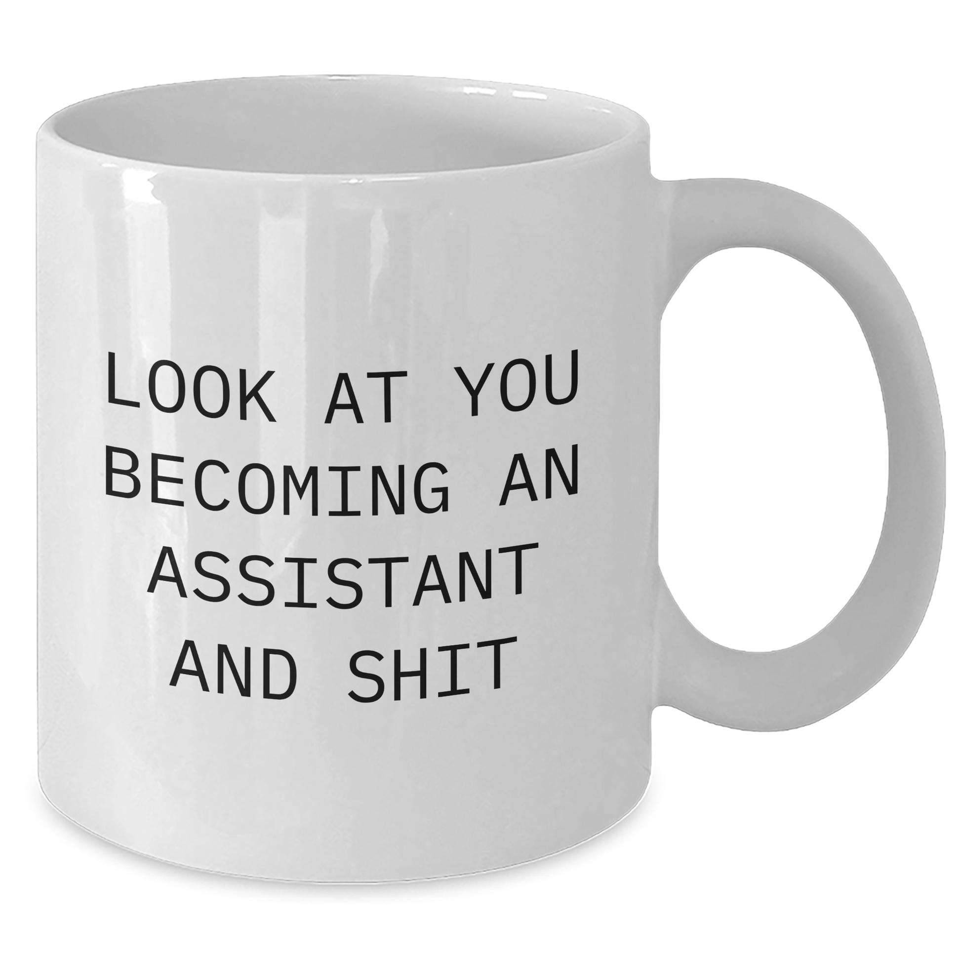 Funny Assistant Gifts from Friends, Coworkers, or Family - Look At You Becoming An Assistant And Shit, White Coffee Mug for Graduation - Additional